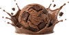 Révolte Cacao